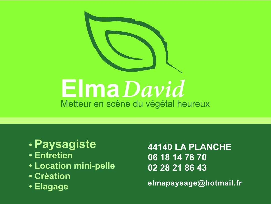 As remouille palets elma david